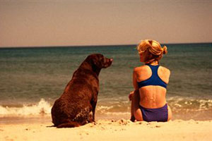 Девушка сидит с собакой на берегу