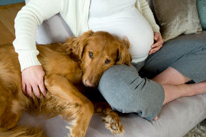 Беременная с собакой
