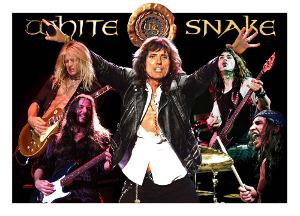 ������ Whitesnake