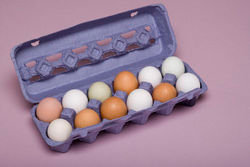 Яйца к коробке