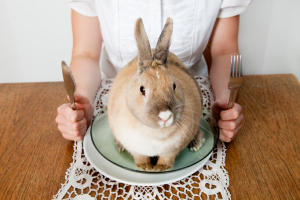 Кролик на тарелке