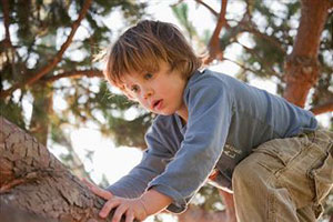 Ребенок играет на дереве