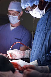 Пересадка кровоснабжаемых трансплантатов