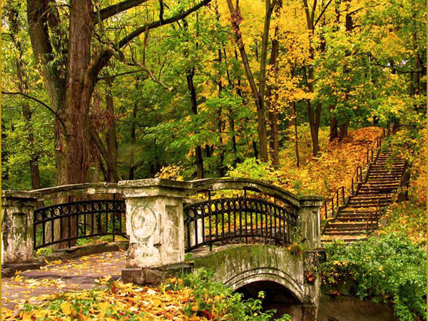 http://www.raut.ru/files/tato/gallery/park/park19.jpg