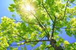����