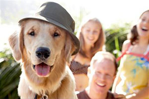 Собака в шляпе