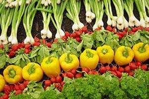 Овощи помогают пищеварению