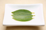 �������� ������� �����