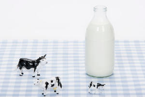 польза молока под вопросом