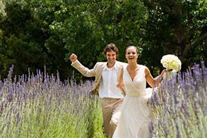 Фото свадьбы в поле