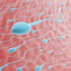 Мобильные телефоны ухудшают качество спермы