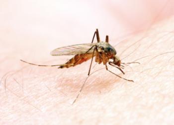 Тяжесть малярии определяют пять генов
