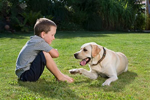 Мальчик играет с собакой на газоне