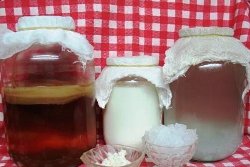 Банки с грибами