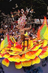 Девушка в костюме на бразильском карнавале