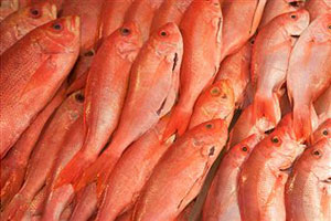 Морепродукты