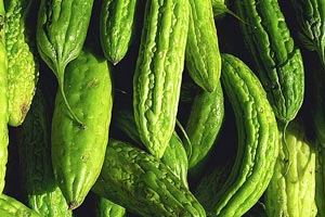 Горькая дыня спасает от рака