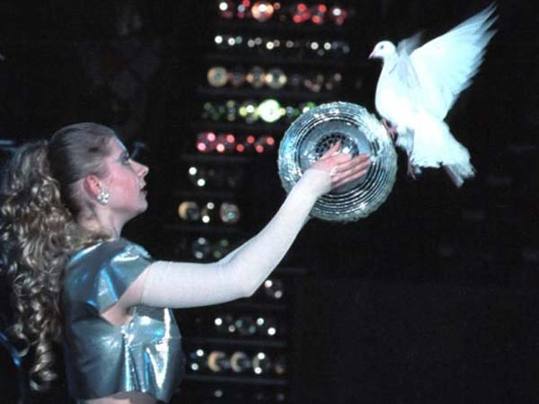 дрессированные голуби. цирковые голуби. виталий лузкарь иллюзионист. виталий лузкарь фокусы. шоу дрессированных голубей.