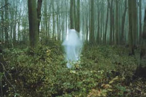 Девушка-призрак появляется в лесу