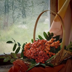 Природная целительница