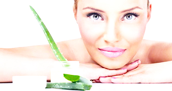 Алоэ: полезные свойства и противопоказания